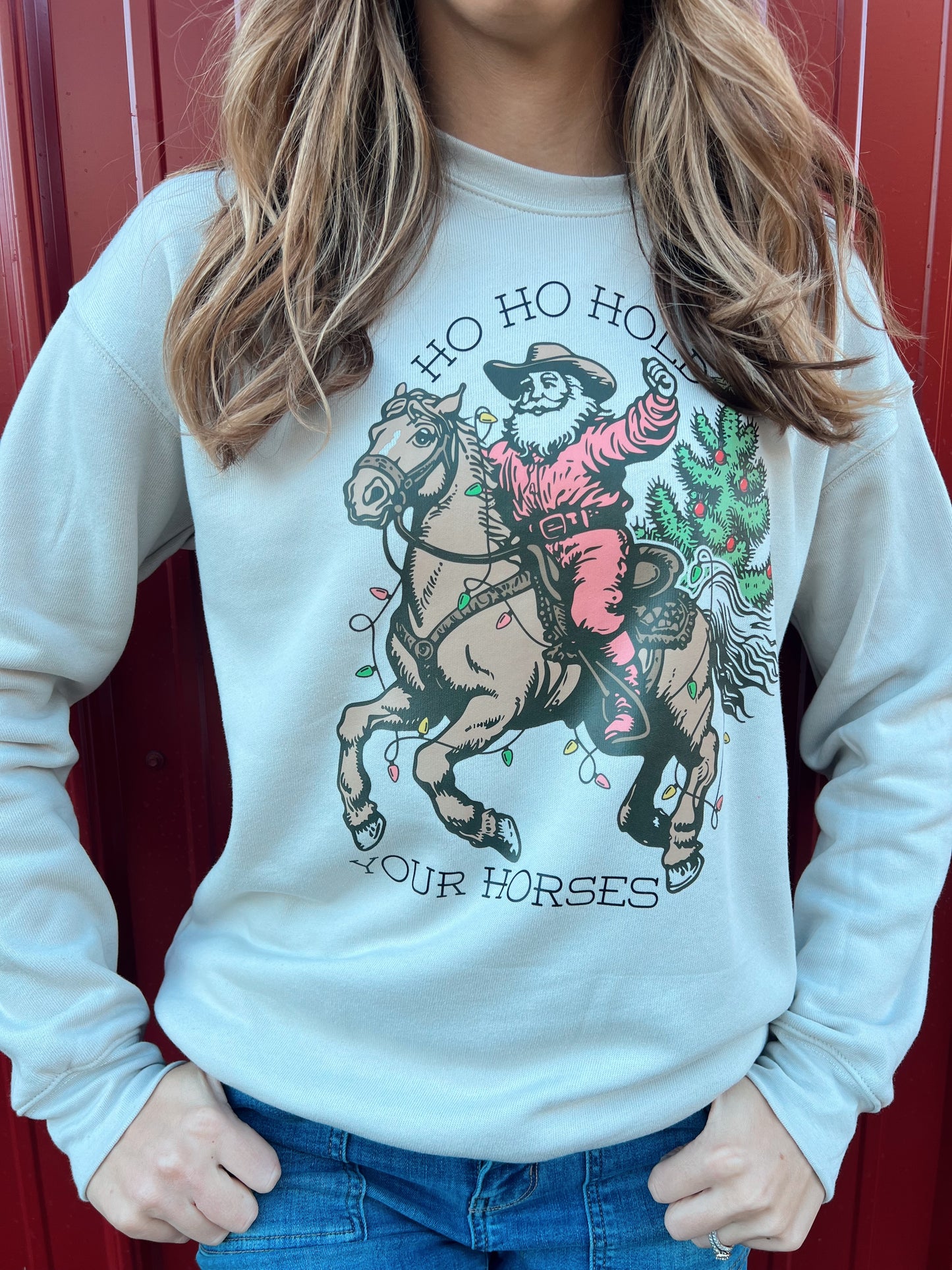 Ho Ho Hold Your Horses Sweatshirt